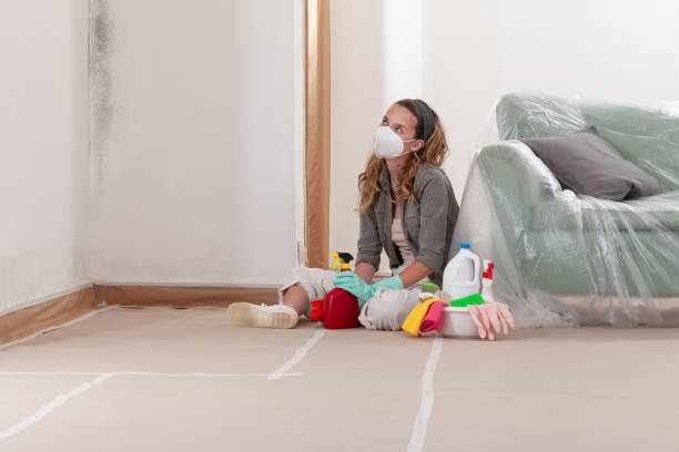 Reliable Mold Removal contractor in Hampton, VA by Mold Remediation HQ